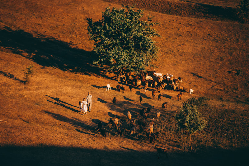 ferme-ethiopie